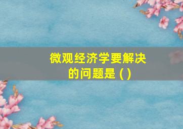 微观经济学要解决的问题是 ( )